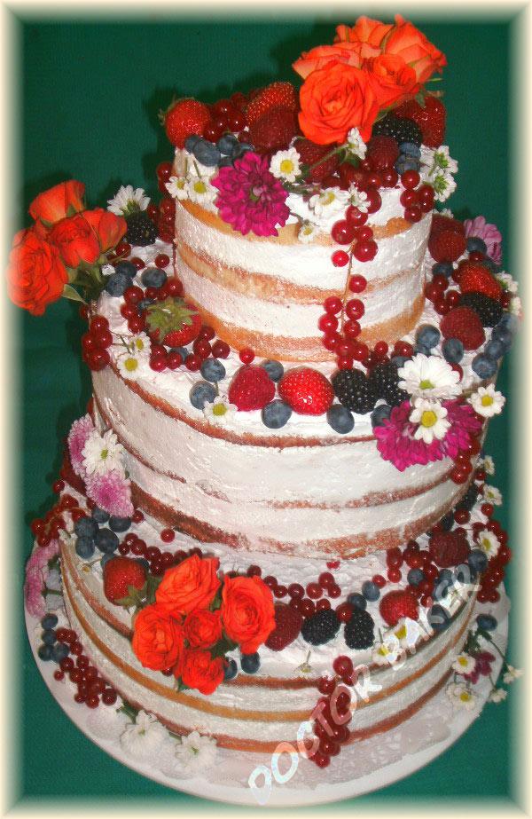 Свадебный торт 2009 Naked Cake